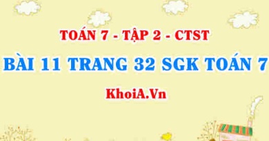 Bài 11 trang 32 SGK Toán 7 tập 2 Chân trời sáng tạo